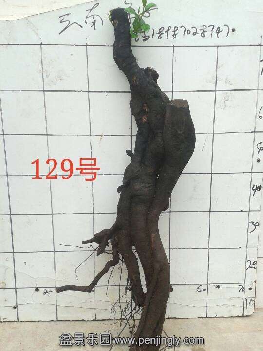 QQͼƬ20140714165851.jpg