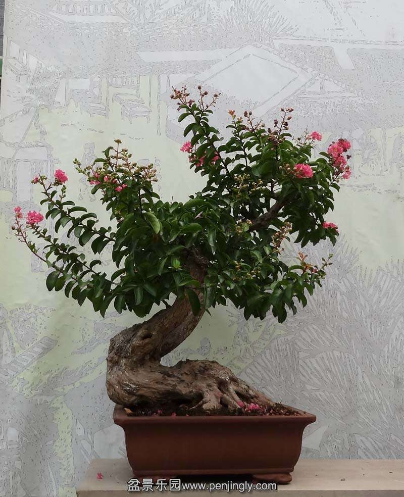 ޱ1.jpg