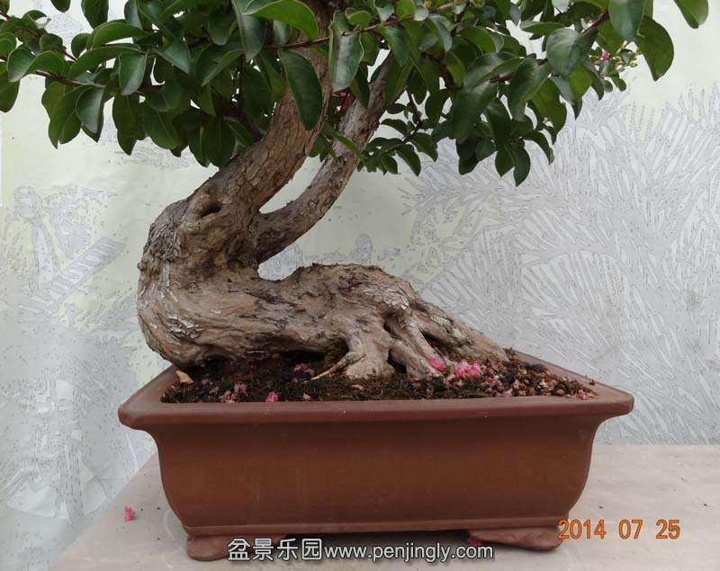 ޱ2.jpg