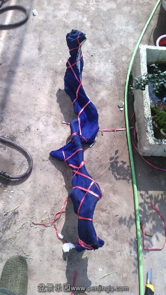 QQͼƬ20140727103413.jpg