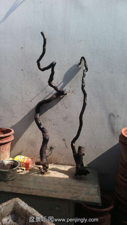 QQͼƬ20140727101957.jpg