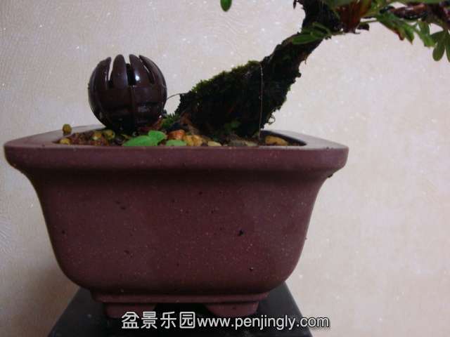 DSC08618.JPG