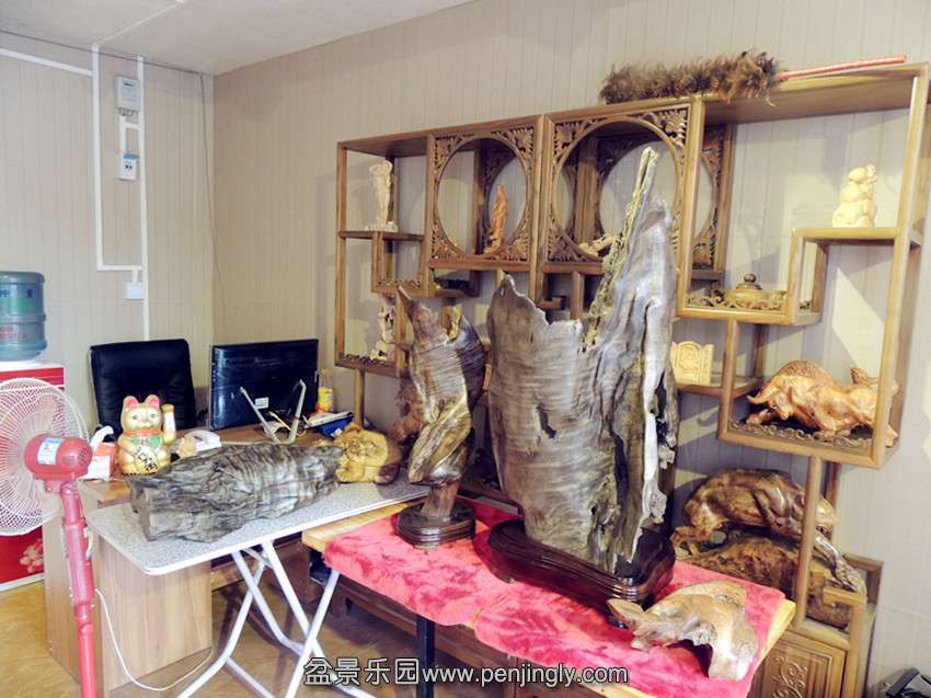 DSCN5390_.jpg