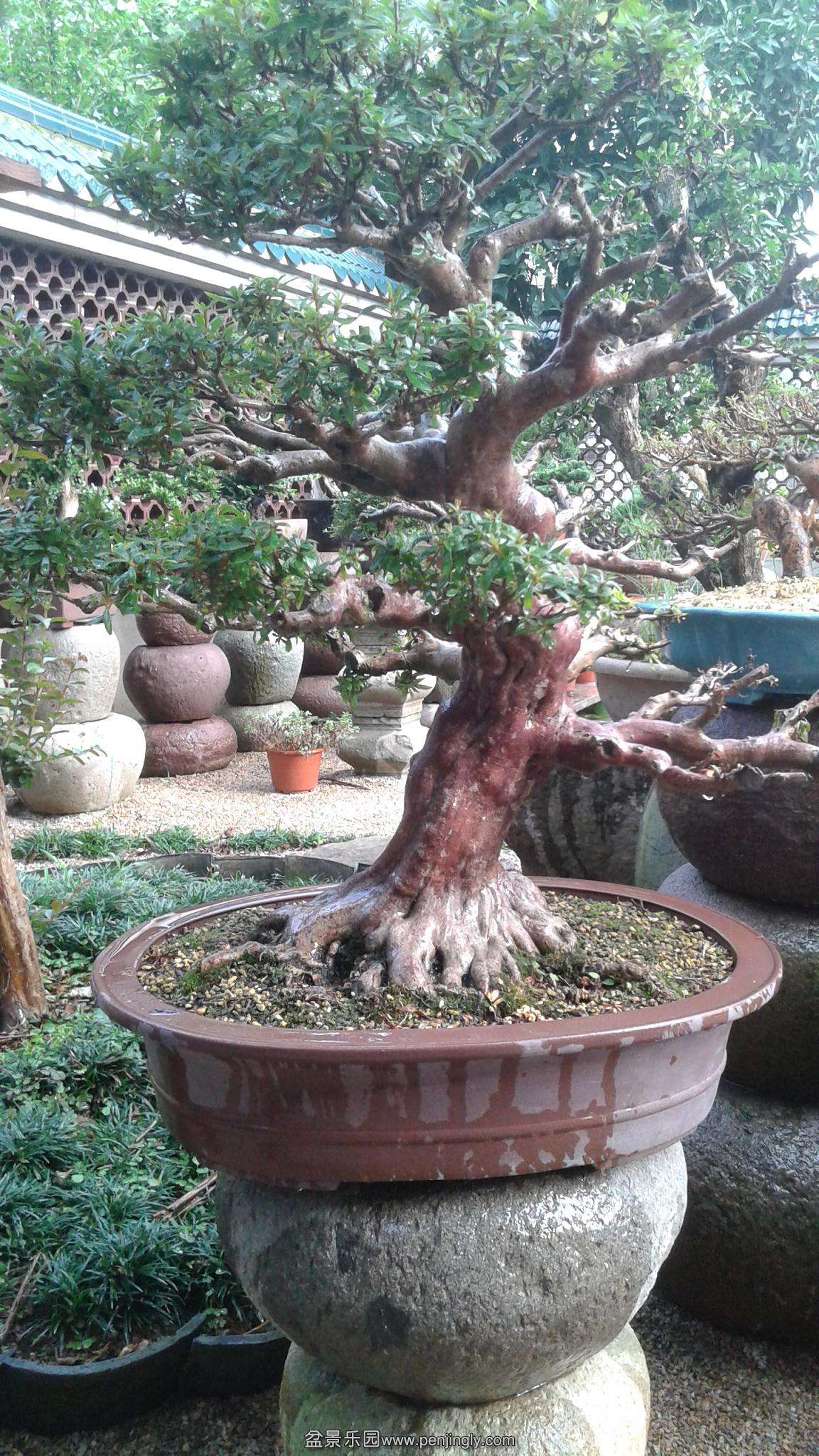 20140707_164614.jpg
