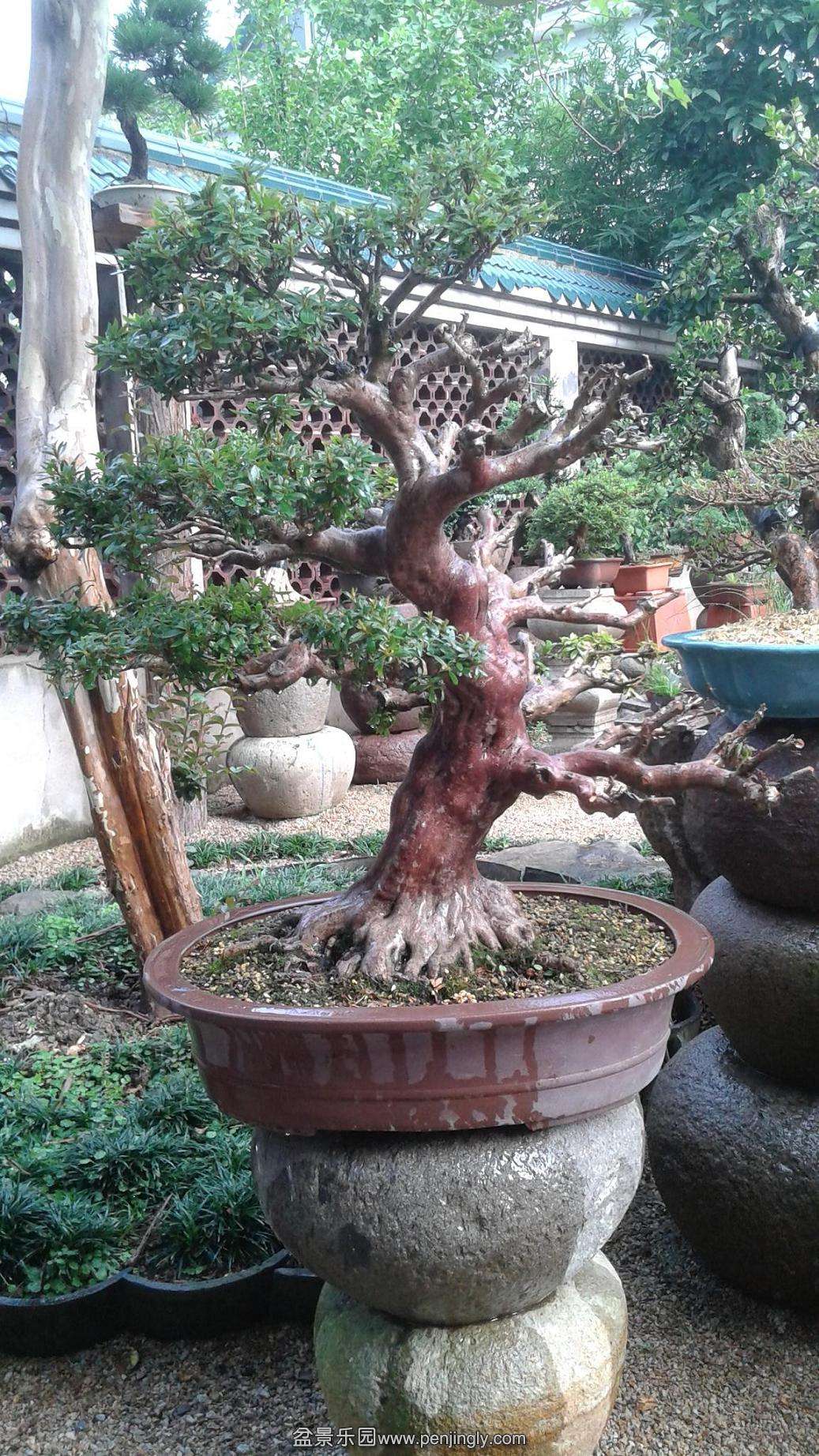 20140707_164620.jpg
