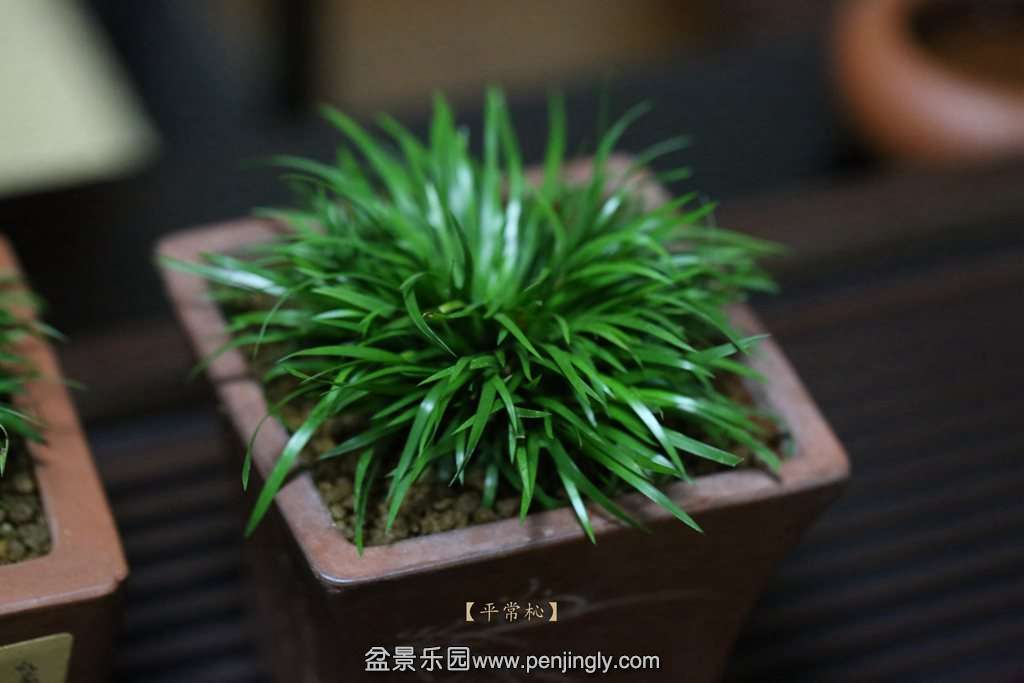 2014-07-28101.jpg