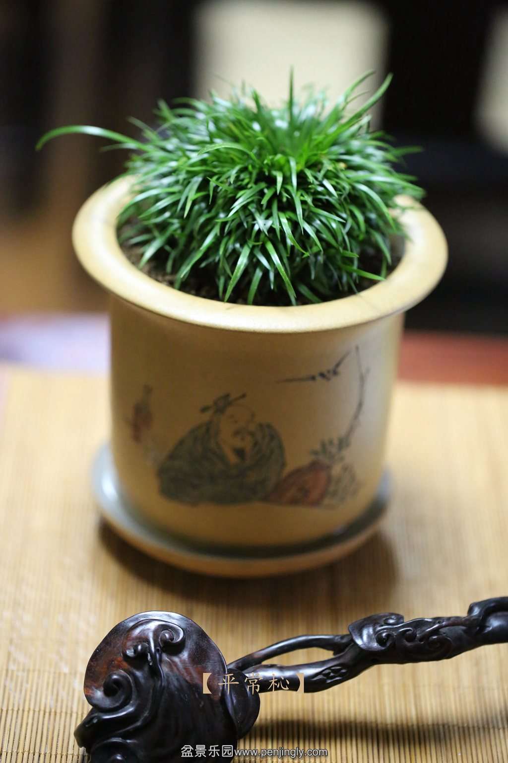 2014-07-28105.jpg