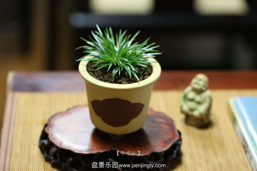 2014-07-28110.jpg