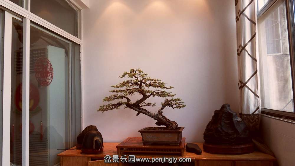 SDC11339.JPG