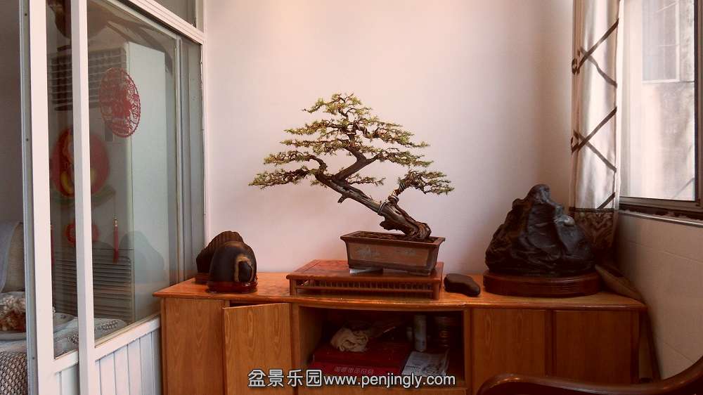 SDC11345.JPG