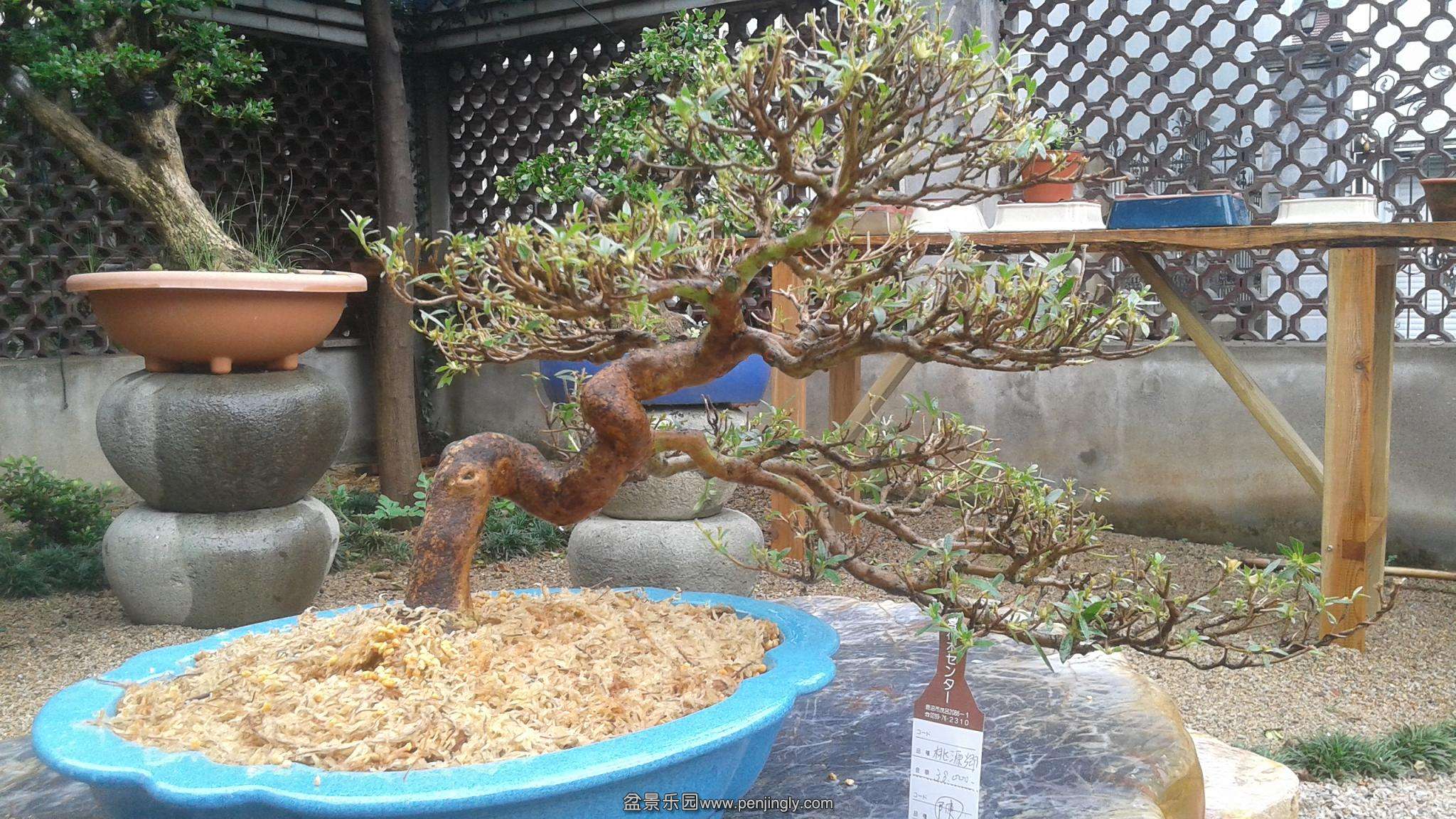 20140620_145628.jpg