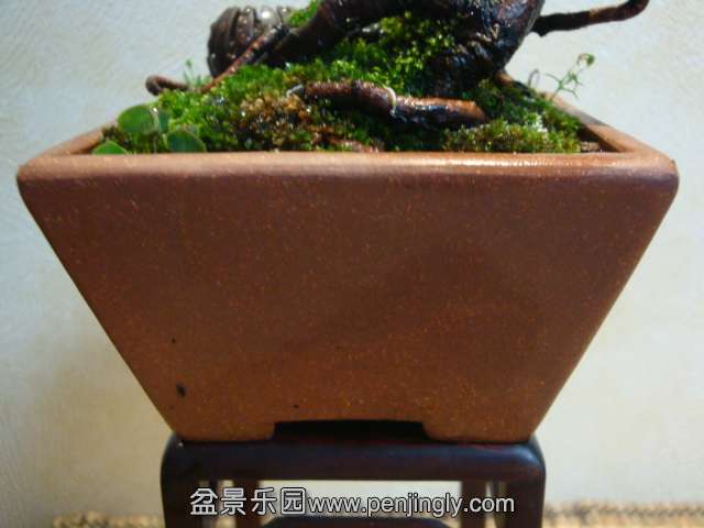 DSC08630.JPG