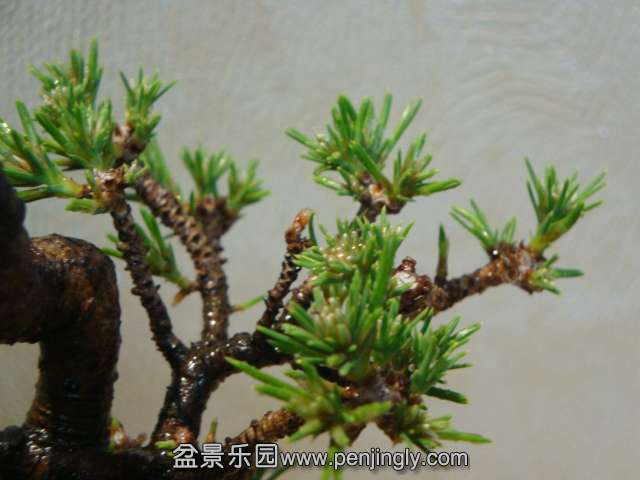 DSC08628.JPG