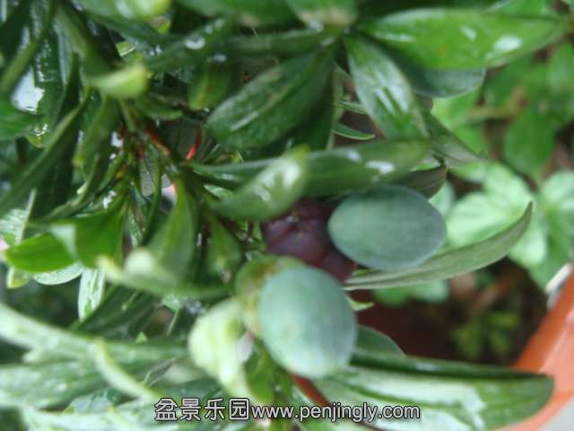 DSC07182.JPG