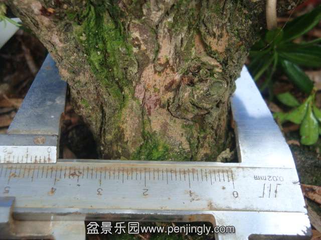 DSC07187.JPG