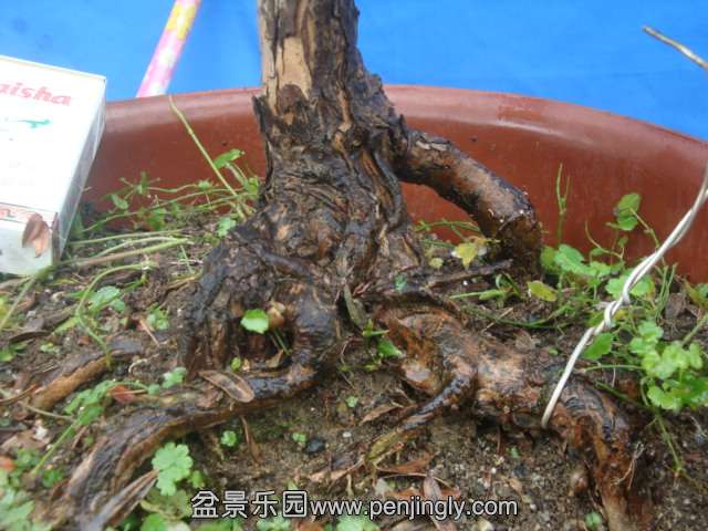 DSC07200.JPG