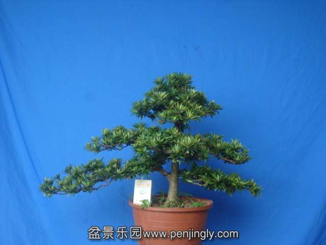 DSC07202.JPG