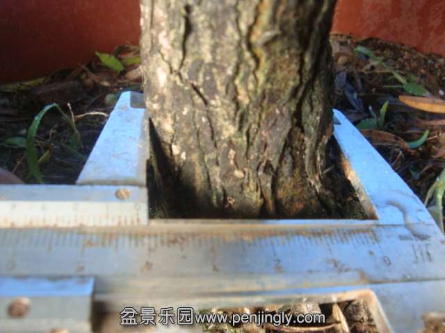 DSC07214.JPG