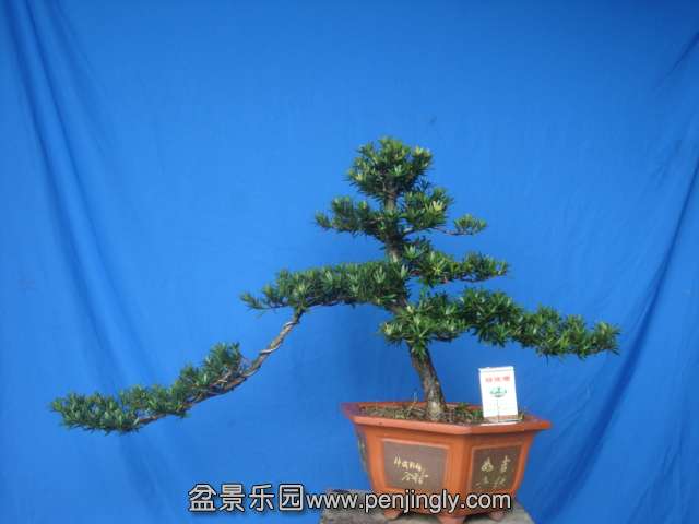 DSC07222.JPG