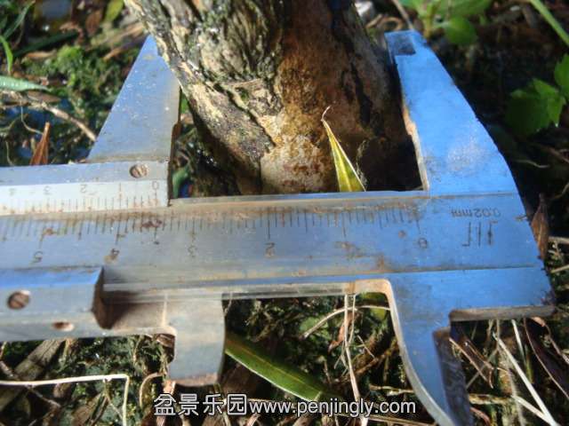 DSC07232.JPG