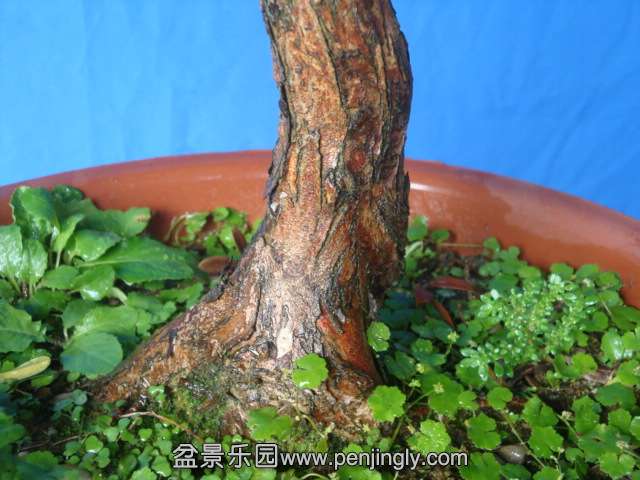 DSC07237.JPG