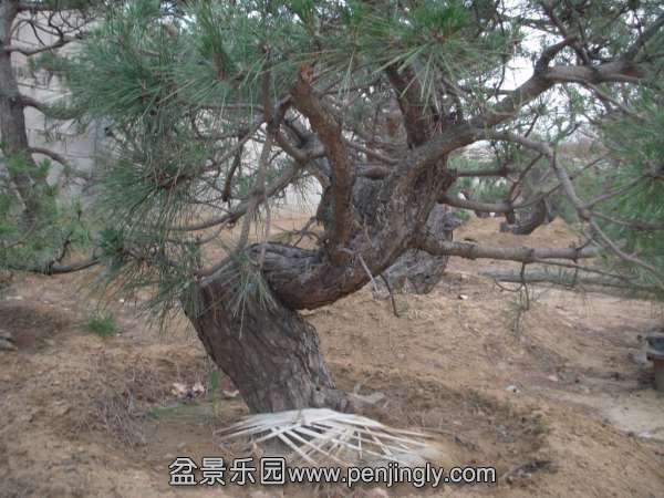 130338fquec2dmd2gzupfh.jpg.thumb.jpg