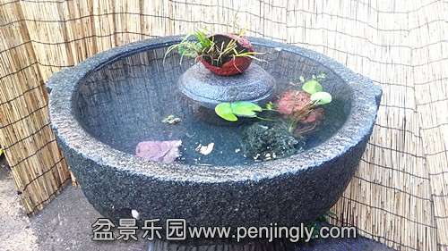 20140727_064601_.jpg