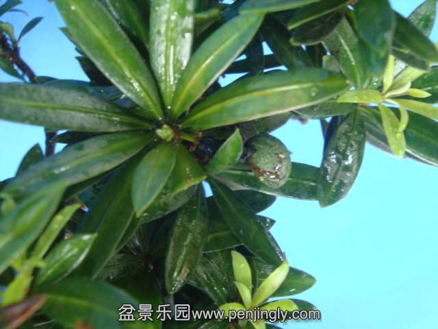 DSC07288.JPG