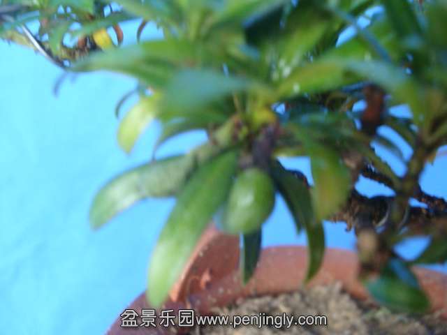 DSC07303.JPG
