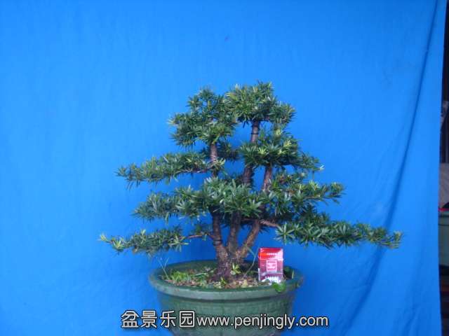 DSC07305.JPG