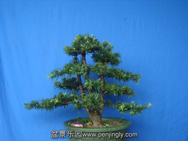 DSC07306.JPG