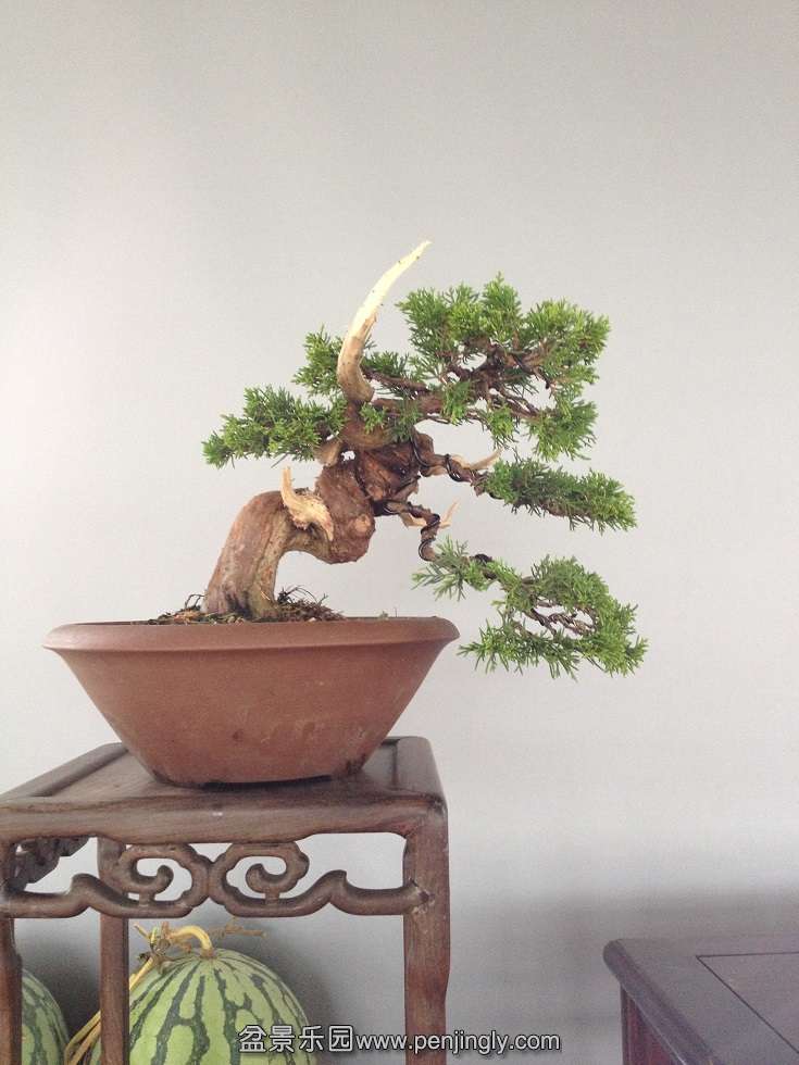 2�������25cm��4cm