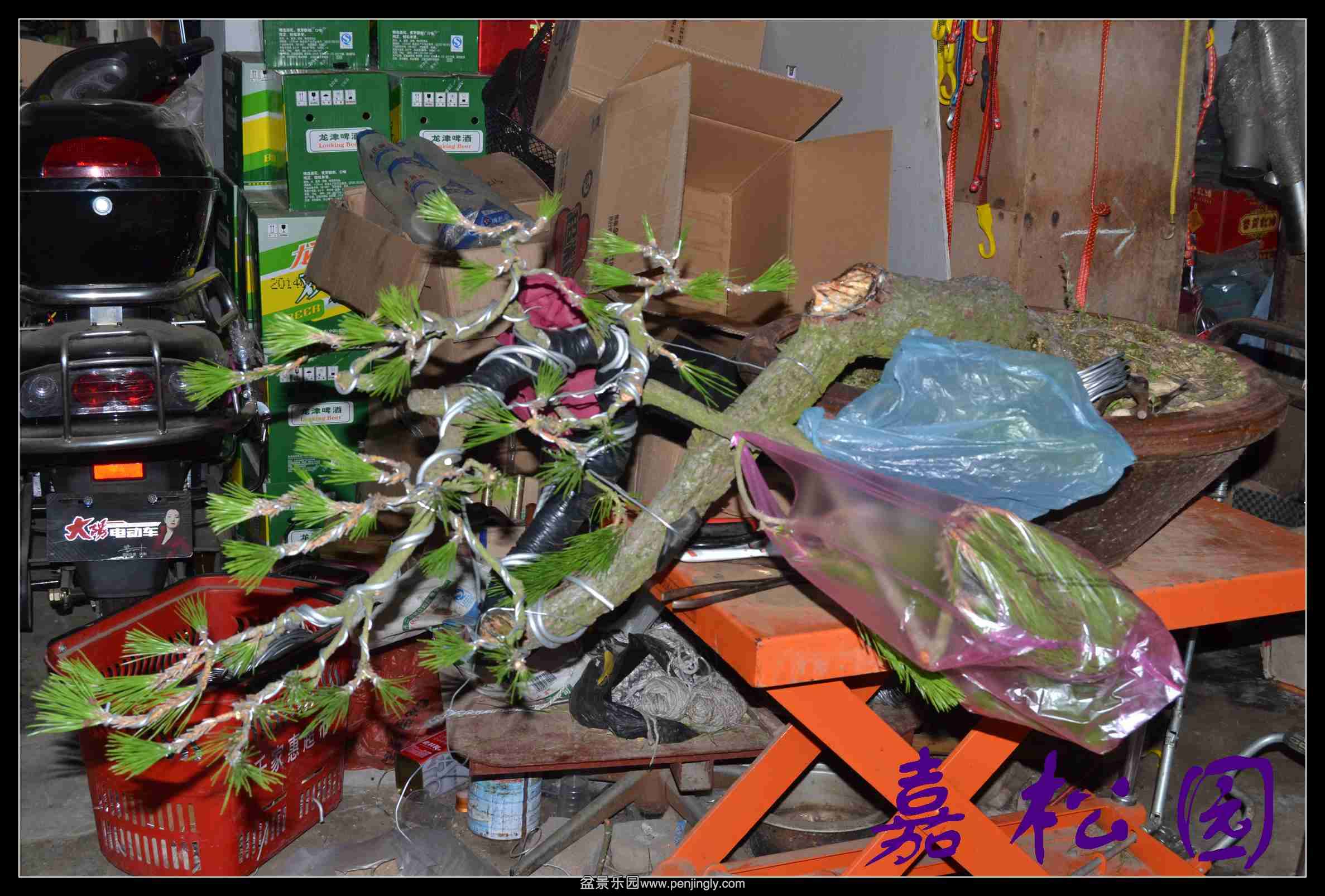 ���� 002.JPG