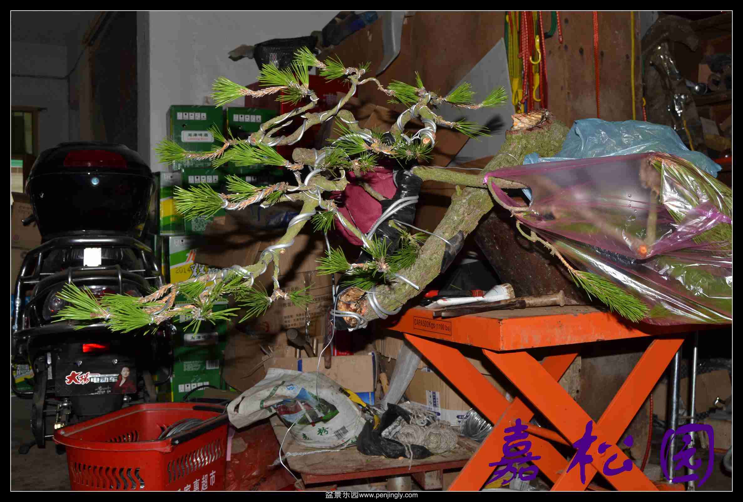 ���� 005.JPG