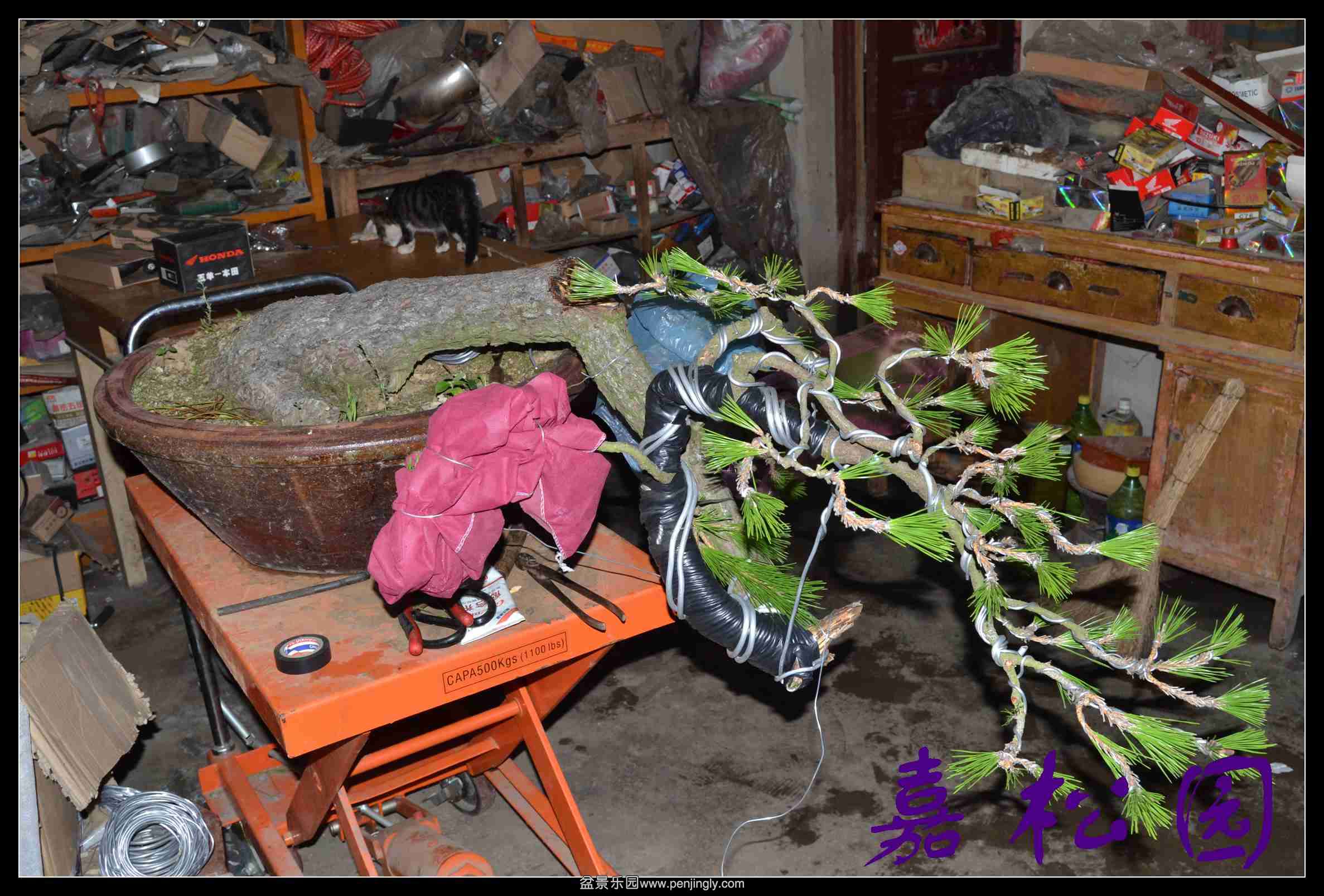 ���� 006.JPG