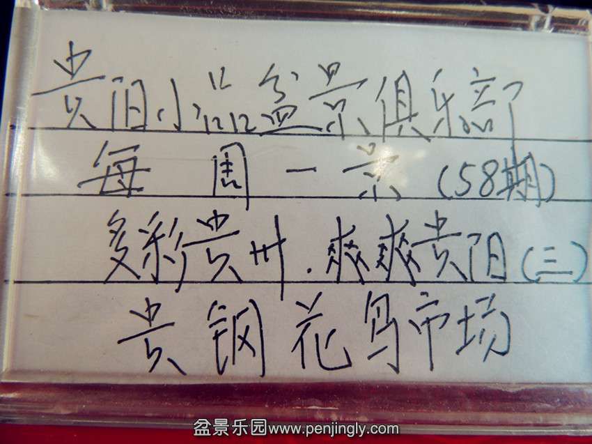 DSCN5542_.jpg