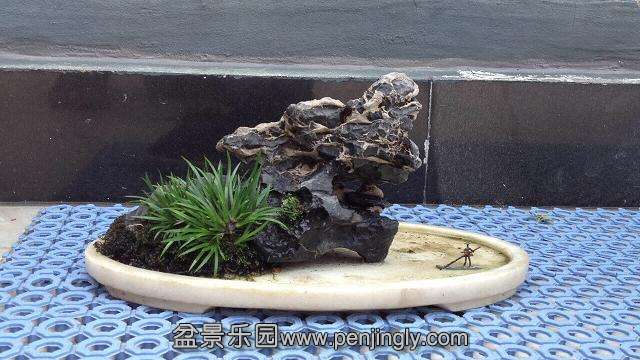 QQͼƬ20140804074938.jpg