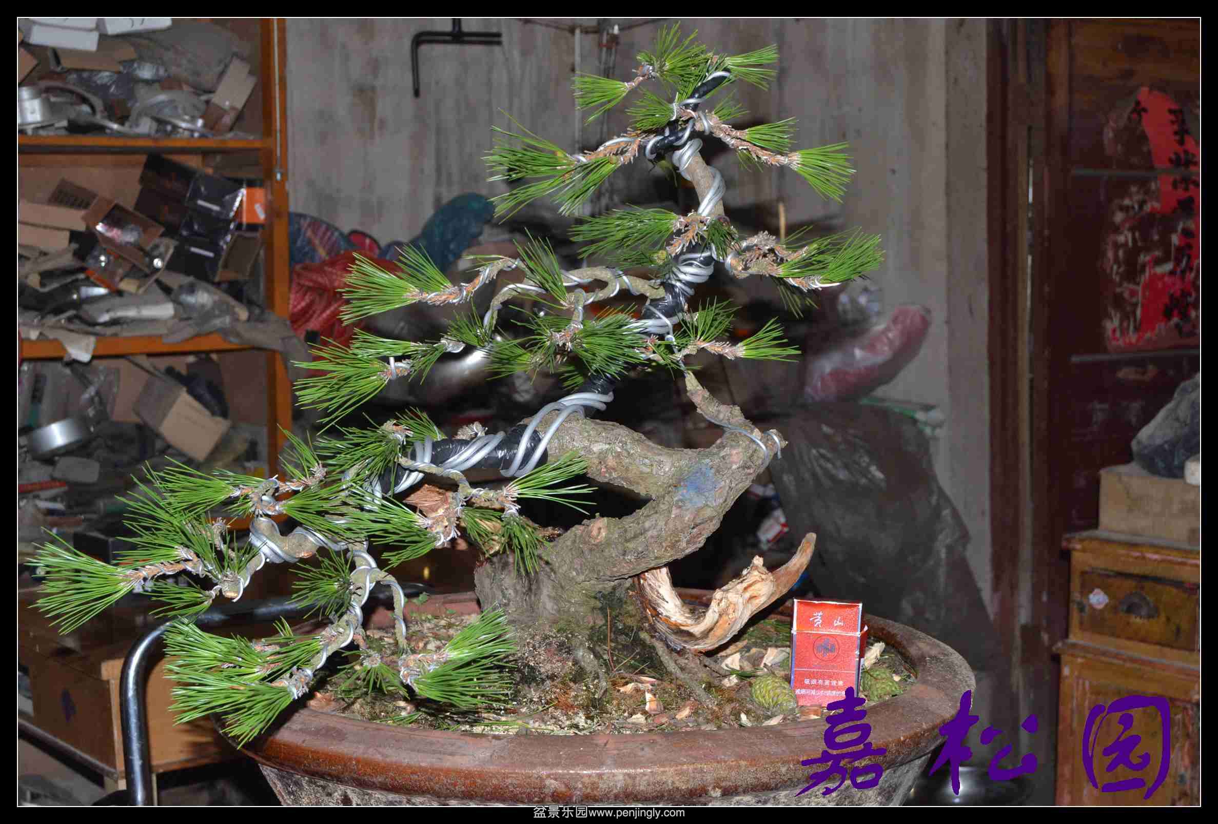 ���˺��� 001.JPG