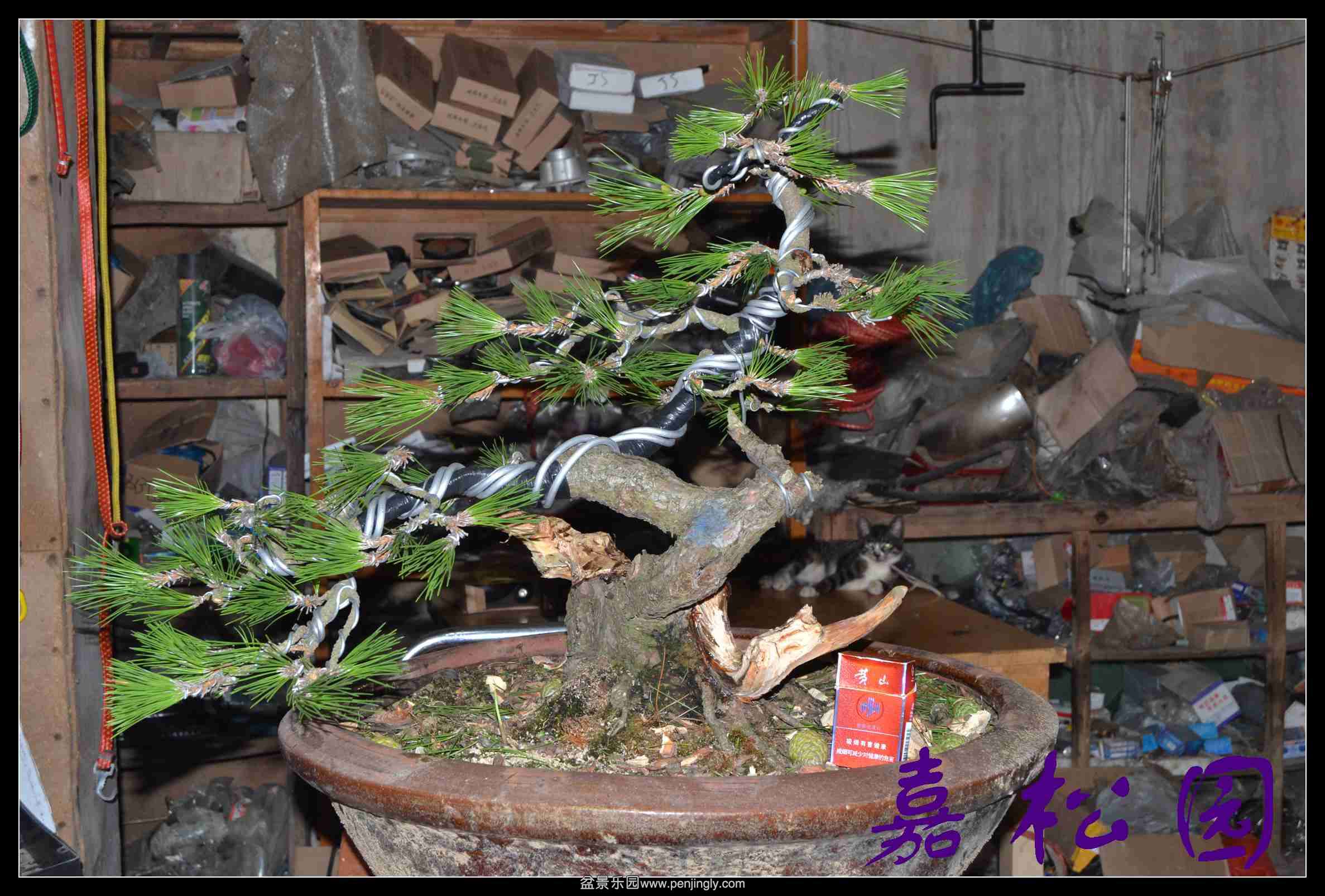 ���˺��� 002.JPG