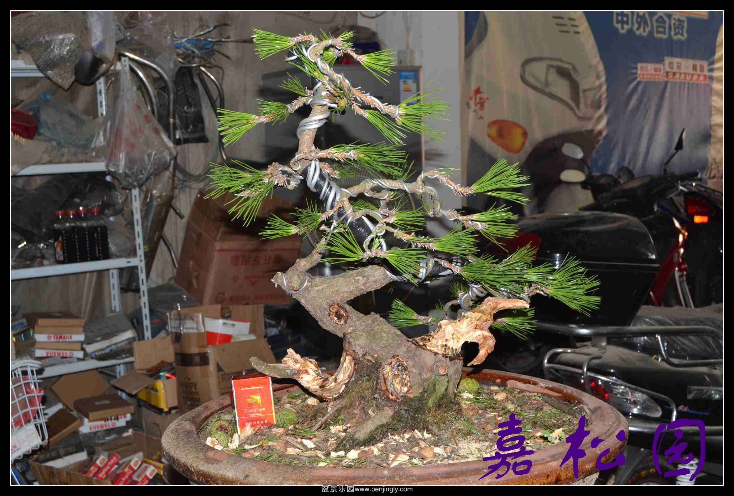 ���˺��� 003.JPG