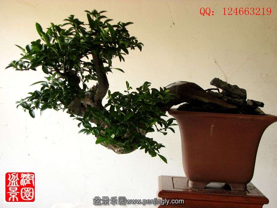 IMG_1891_.jpg