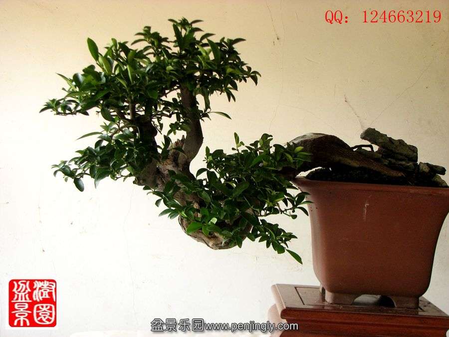 IMG_1892_.jpg