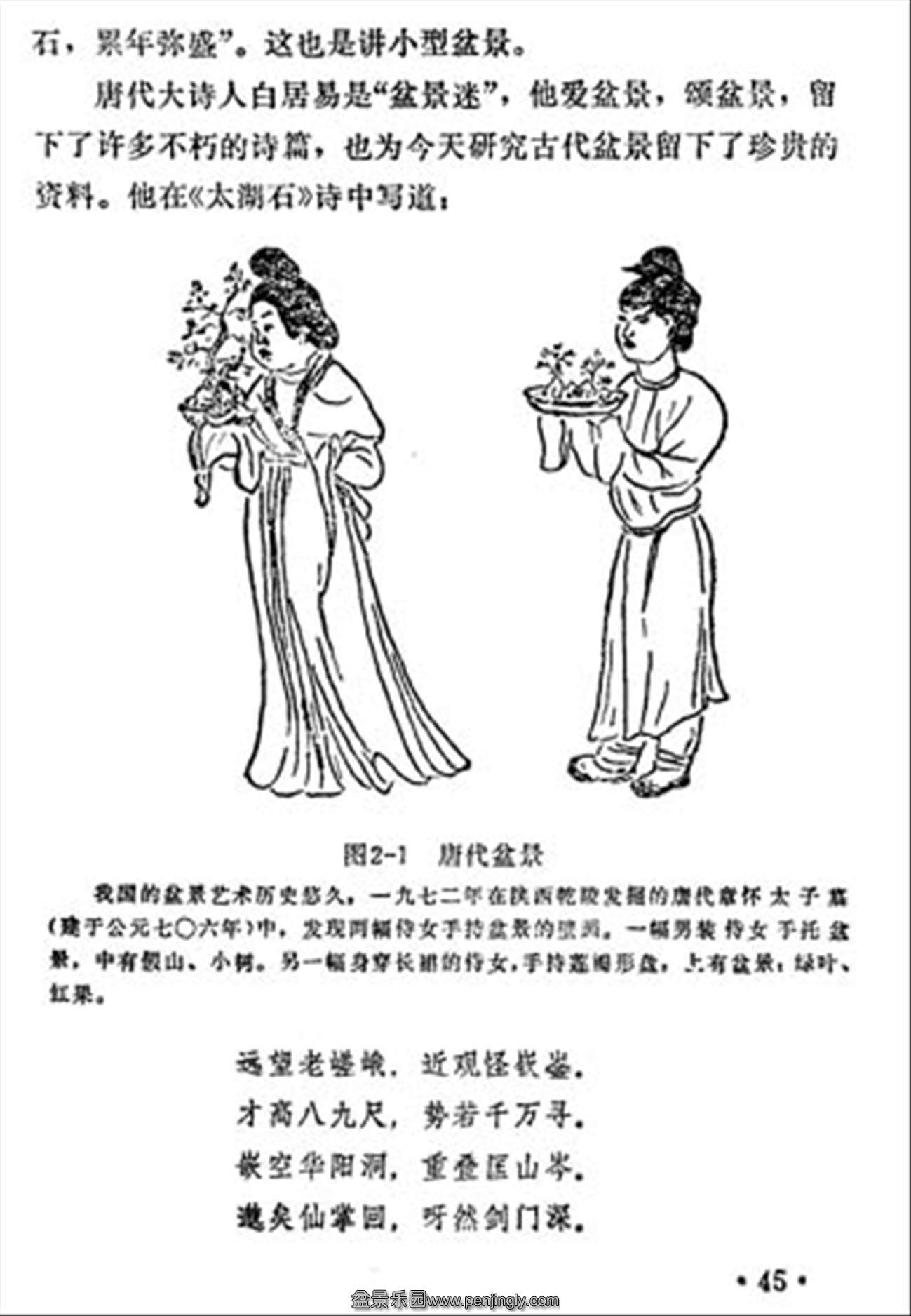 ˴𡶳ɶ辰45.jpg