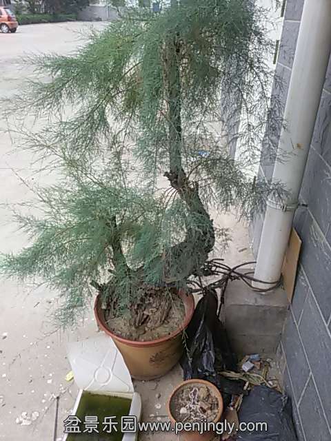 20140804_112121.jpg