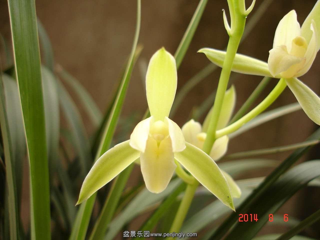 DSC02374.JPG