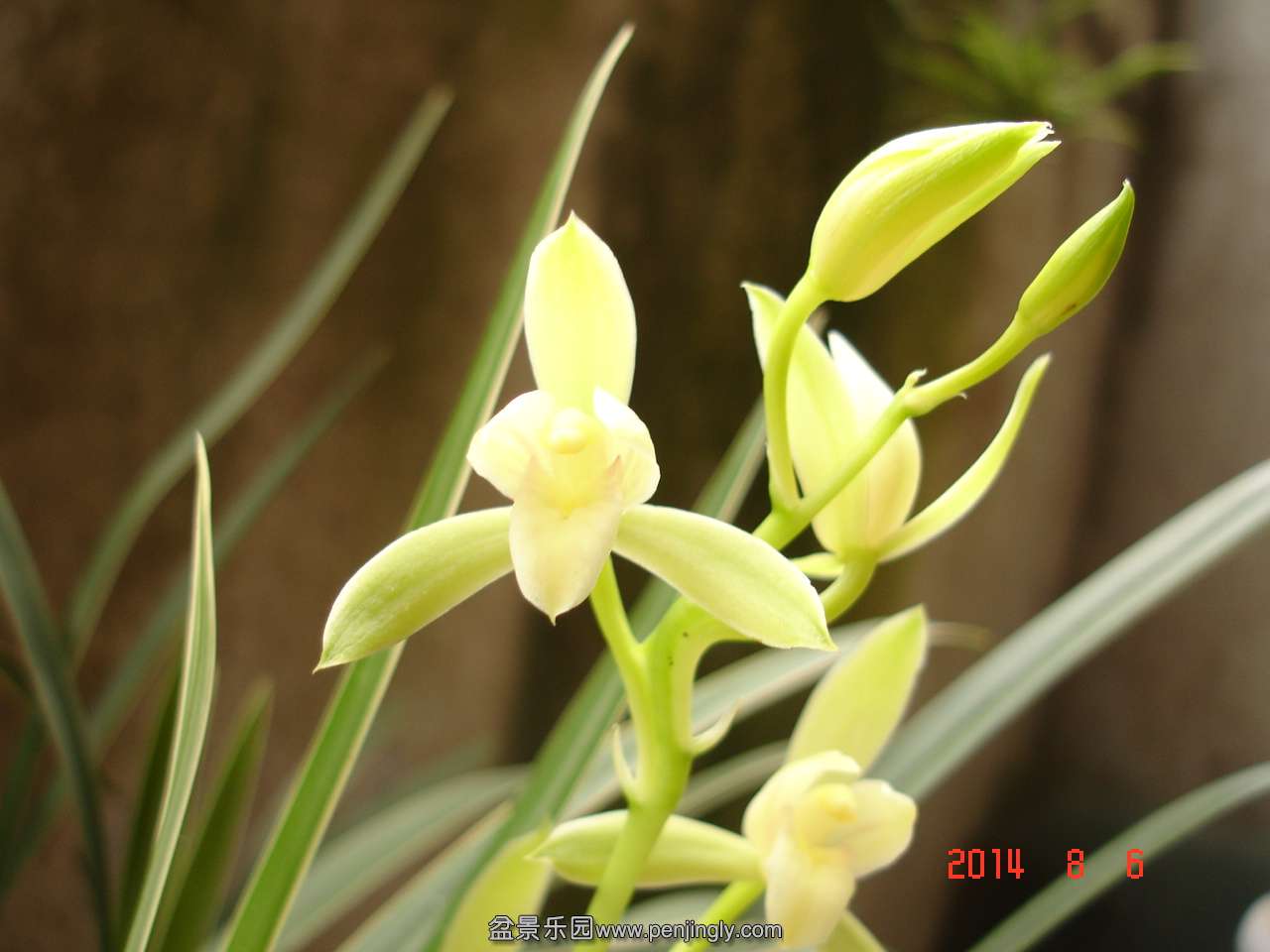DSC02371.JPG