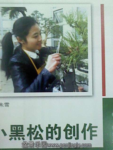 IMG0176A.jpg
