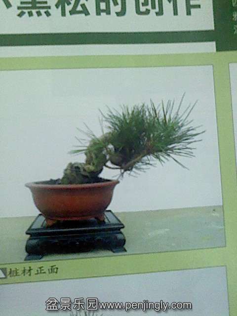 IMG0178A.jpg