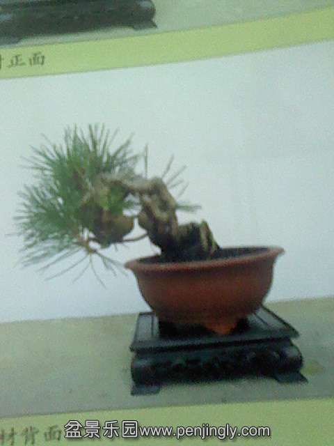 IMG0179A.jpg