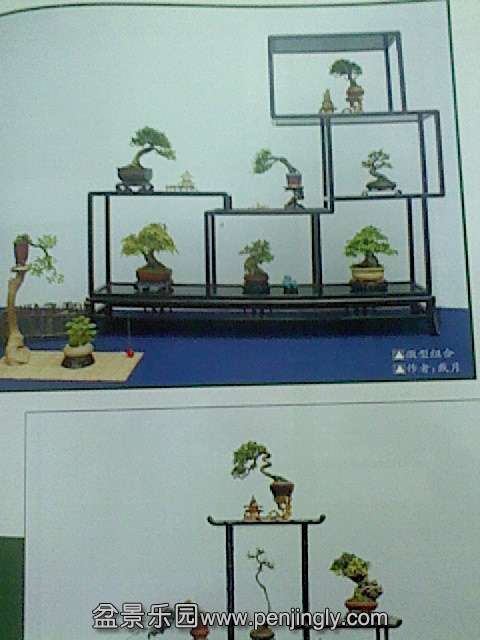 IMG0183A.jpg